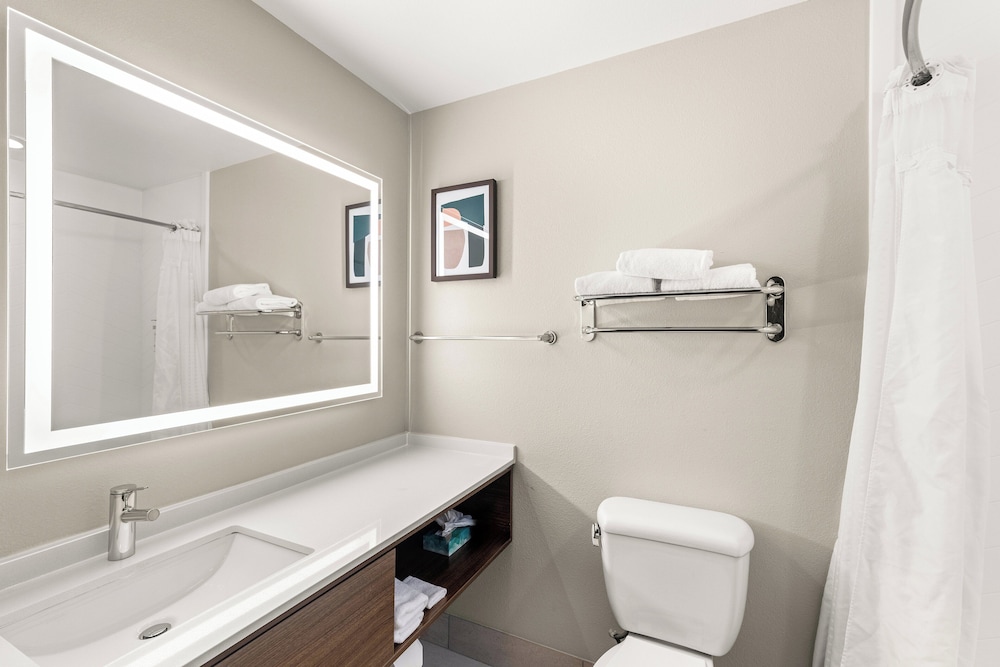 Holiday Inn Austin North Round Rock by IHG - photo 20