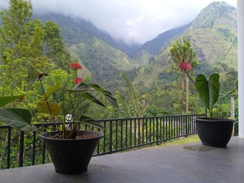 Sarah Holiday Resort in Unknown City, Sri Lanka