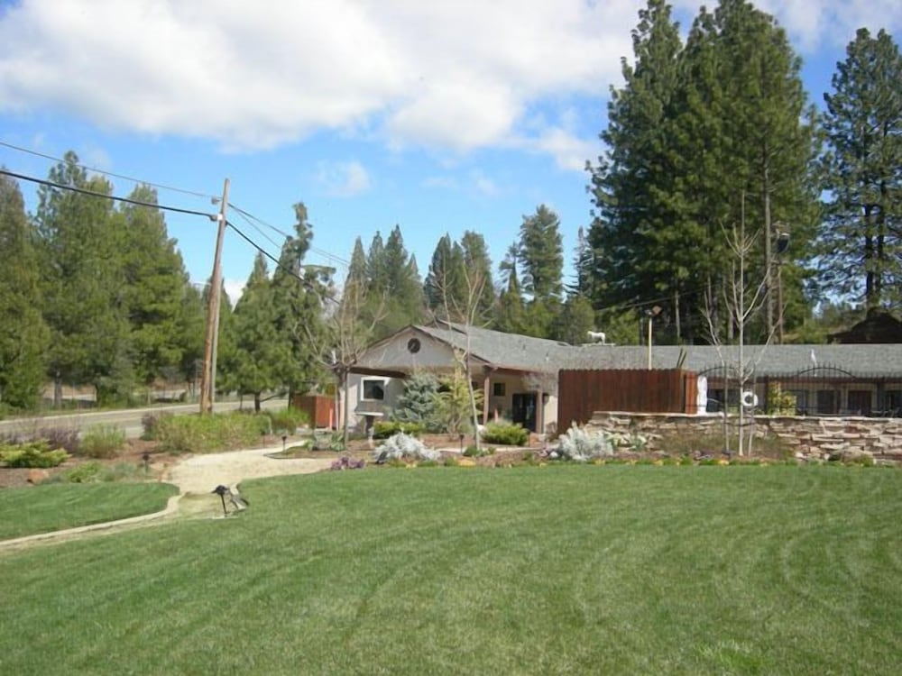 Mother Lode Motel - photo 41