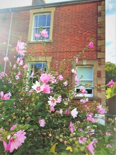 Bridport Garden Suite — 4-Star Luxury Hotel in Bridport, United Kingdom