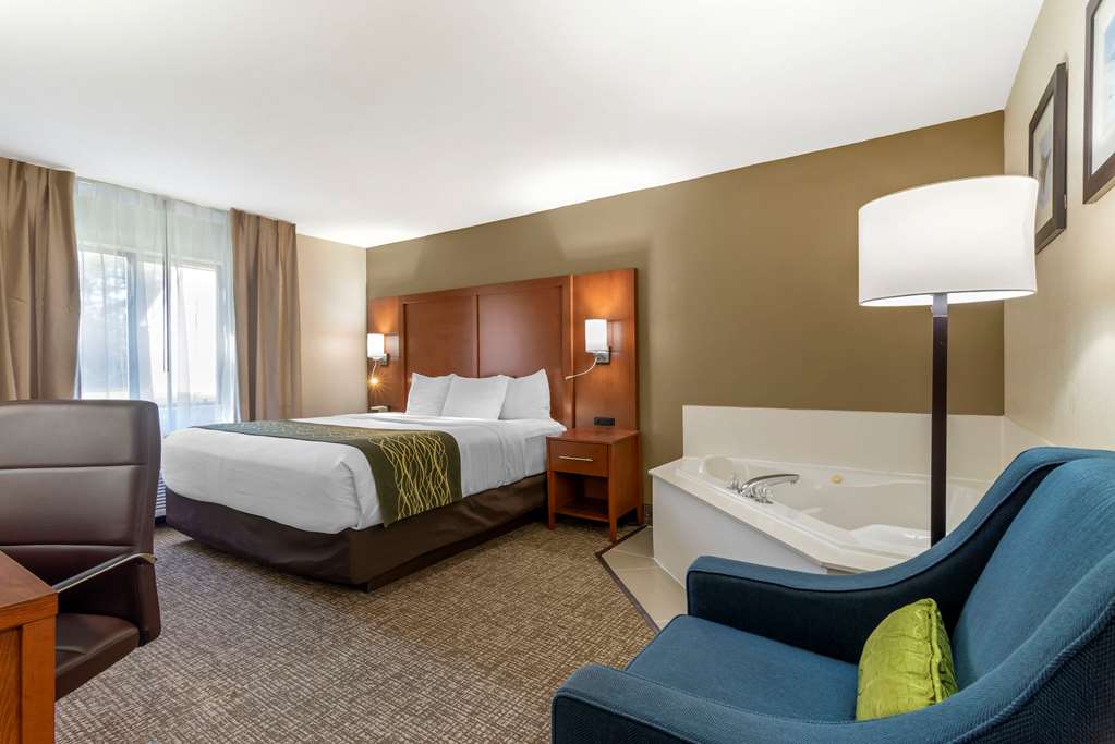 Comfort Inn & Suites near Robins Air Force Base Main Gate - photo 4