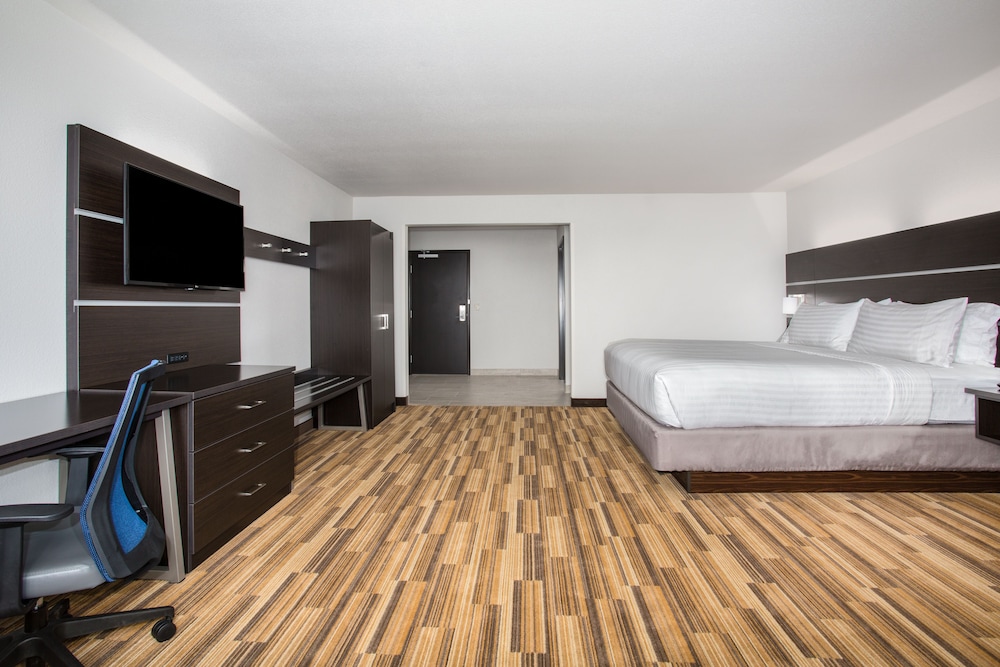 Holiday Inn Express & Suites Rapid City Rushmore South by IHG - photo 14