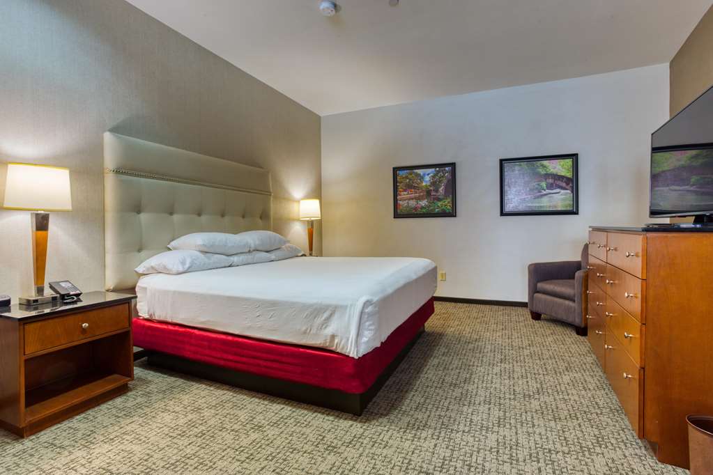 Drury Plaza Hotel San Antonio Riverwalk - photo 72