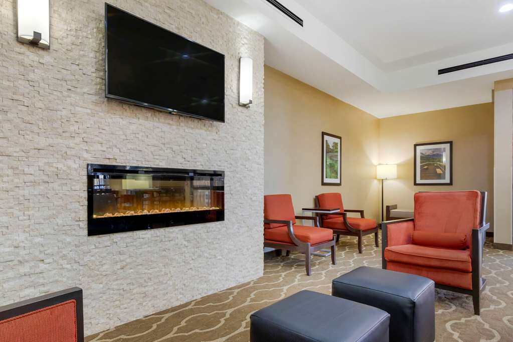 Comfort Suites Piedmont Greenville South - photo 4