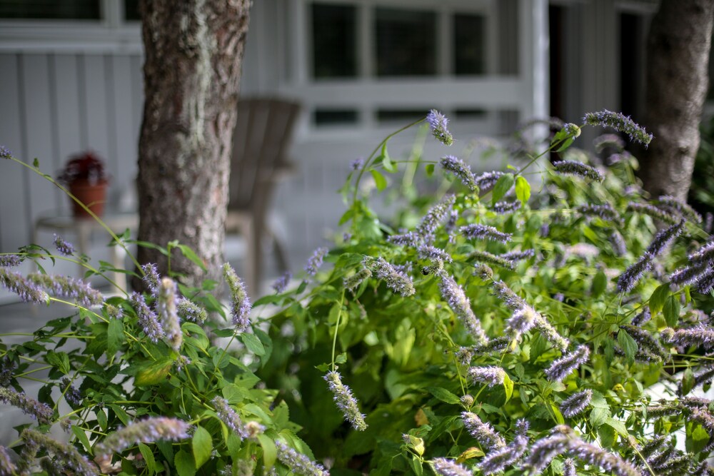 Hamlet Inn - photo 48