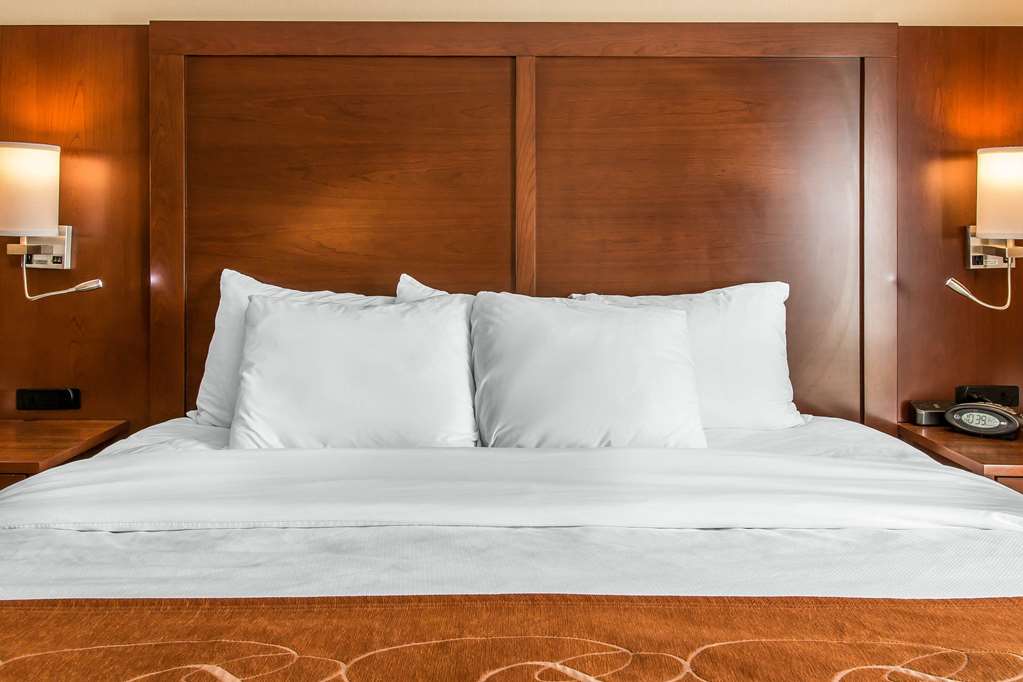 Comfort Suites Wixom Novi - photo 11