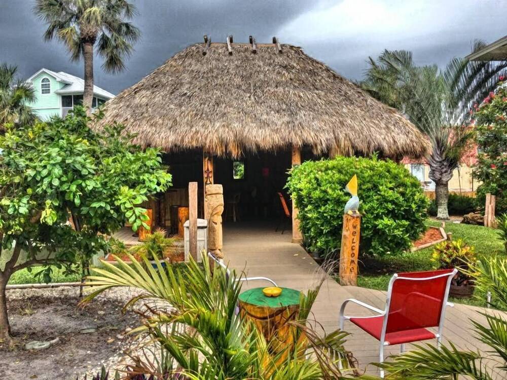 Palm Terrace - photo 48