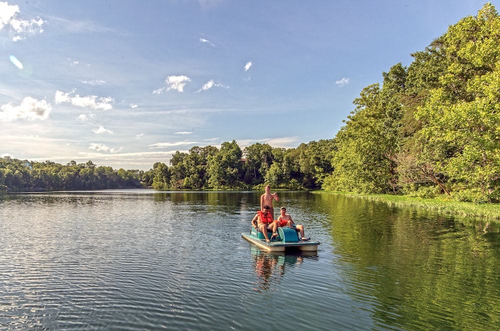 Pennyrile Forest State Resort Park - photo 16