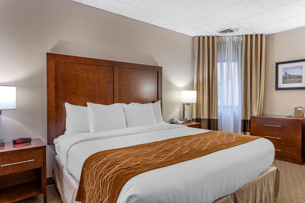 Comfort Inn Syosset Long Island - photo 13