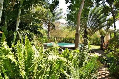 Chobe River Cottages — Kasane — photo 4