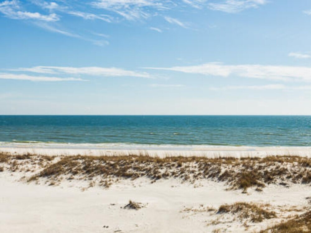 Summer Salt by Youngs Suncoast VR - photo 18