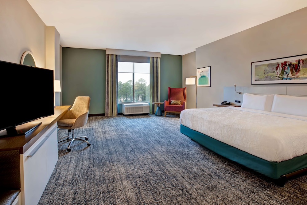 Hilton Garden Inn Summerville - photo 11