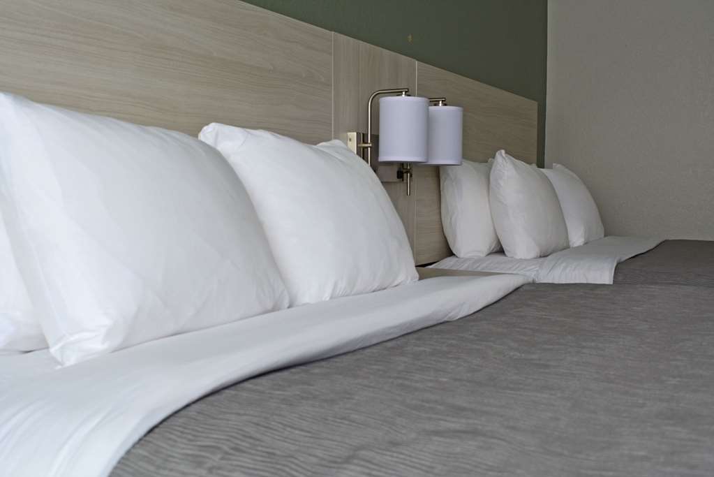 Quality Inn & Suites East Syracuse Carrier Circle - photo 19