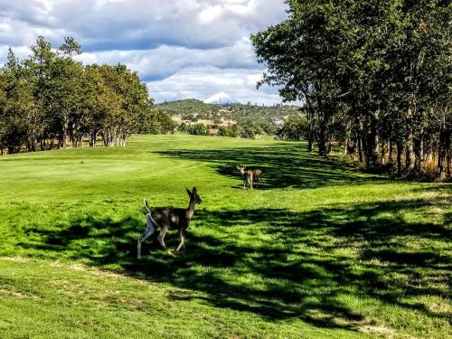 Resort at Eagle Point - photo 30