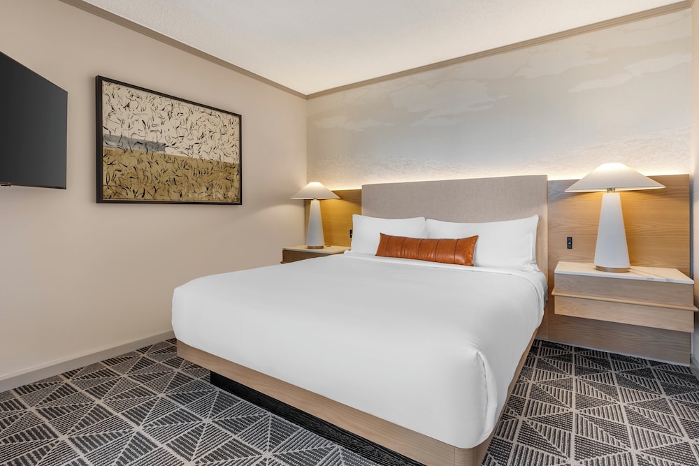 Omni Las Colinas Hotel - photo 50