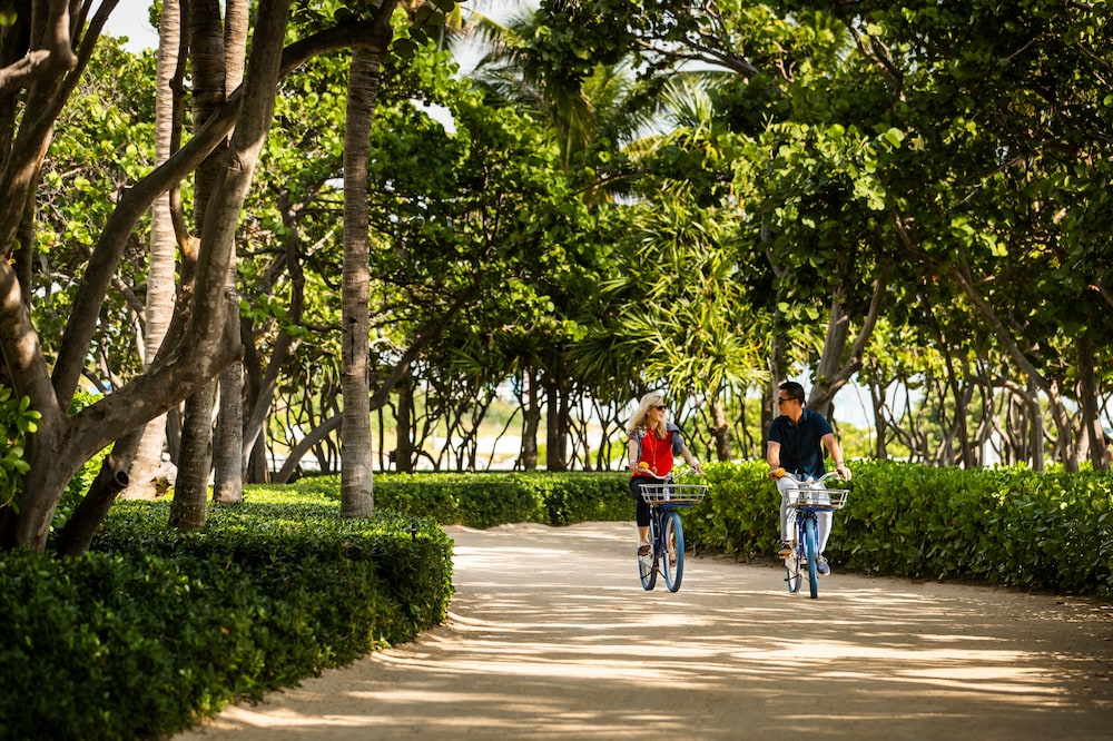 The Ritz Carlton Bal Harbour Miami - photo 31