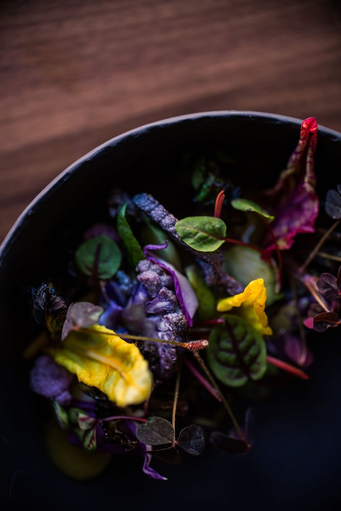Kimpton Aertson Hotel by IHG - photo 58