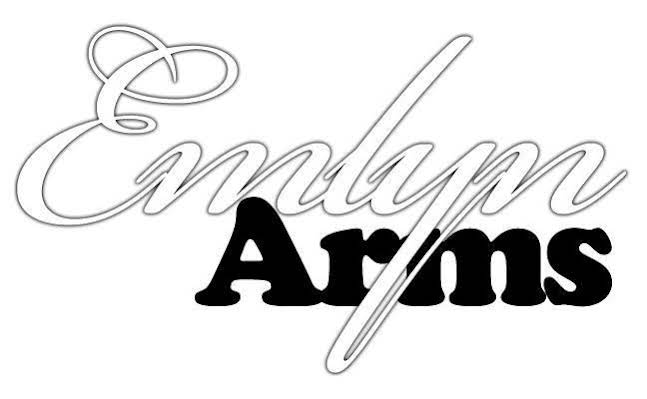 Emlyn Arms — Carmarthen — photo 5