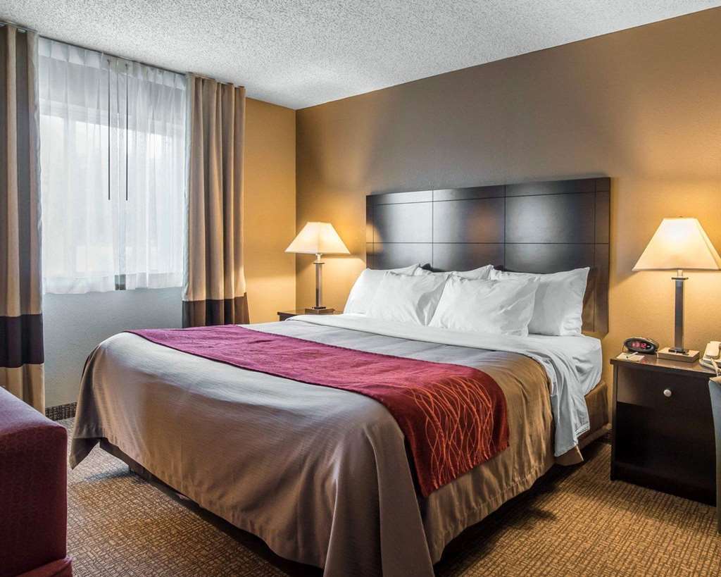 Comfort Inn Saugerties - photo 21
