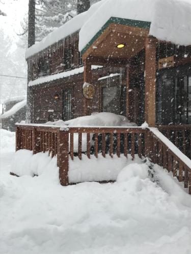 Cedar Pines Resort - photo 29