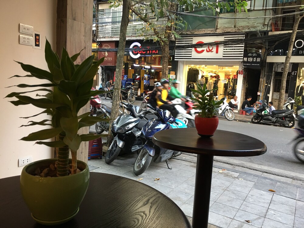Ellogia Rusta — Hanoi — photo 4