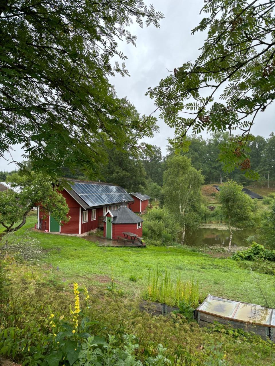 Dammstugan 20214706 — Klippan