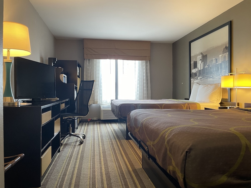 Delavan Inn and Suites - photo 6