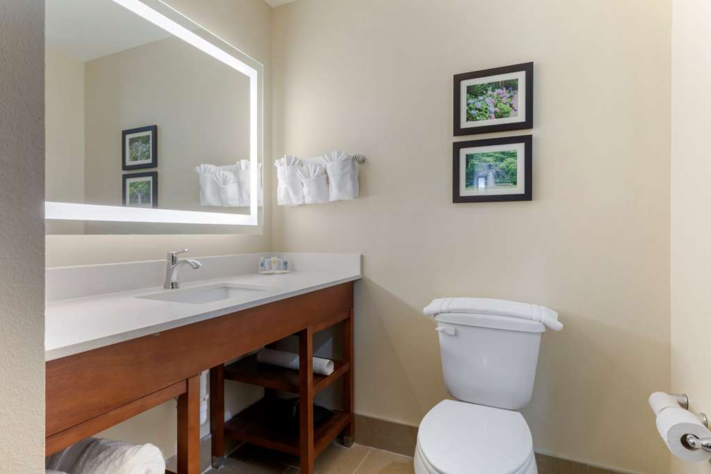 Comfort Suites West Monroe near Ike Hamilton Expo Center - photo 15