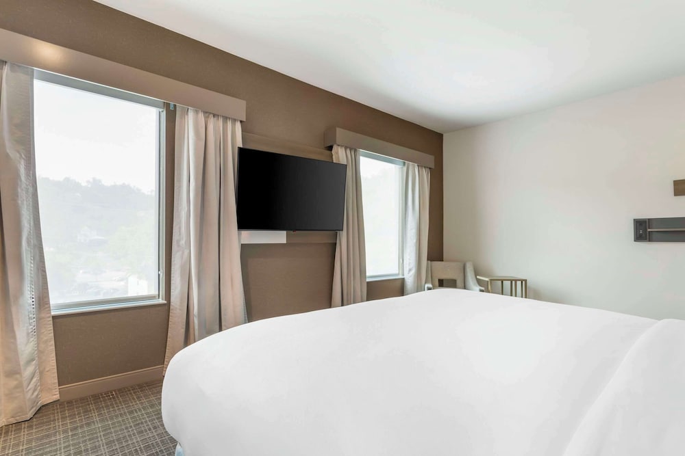 Comfort Suites Gatlinburg Downtown Convention Center - photo 54