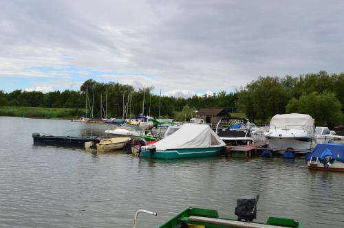 Sarudi vendégház in Mezokovesd, Hungary