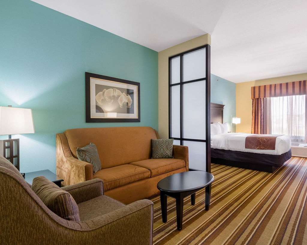 Comfort Suites Topeka Northwest - photo 10