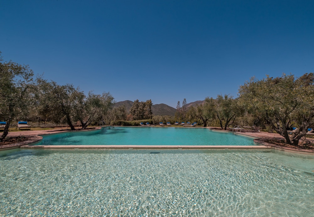 Oliveraie de Marigha - last minute hotel in Marrakesh
