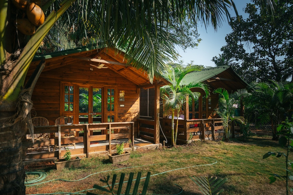 Oxygen Palolem in Canacona, India