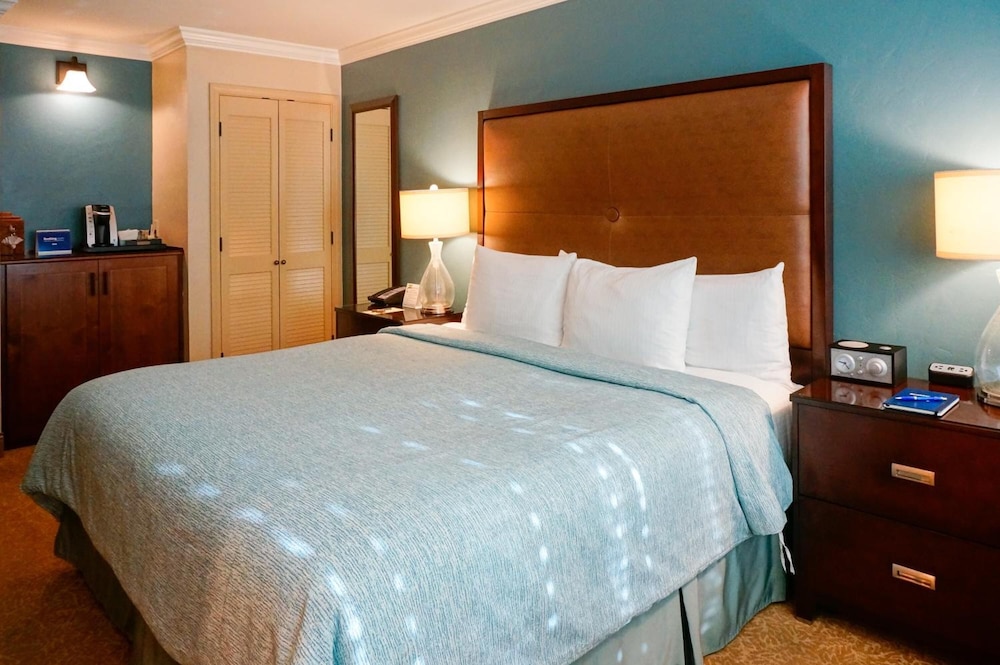 Blue Dolphin Inn - photo 9