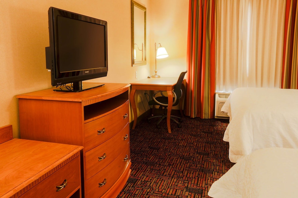 Hampton Inn & Suites by Hilton Tomball Houston NW - photo 7