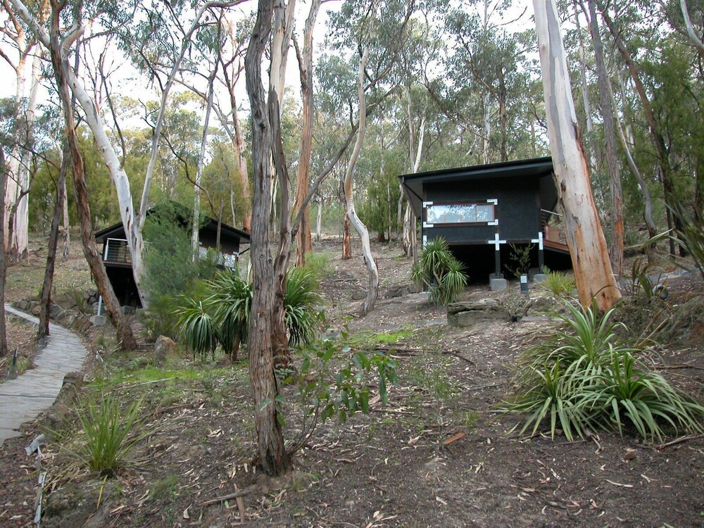 Qdos Arts — Lorne — photo 5