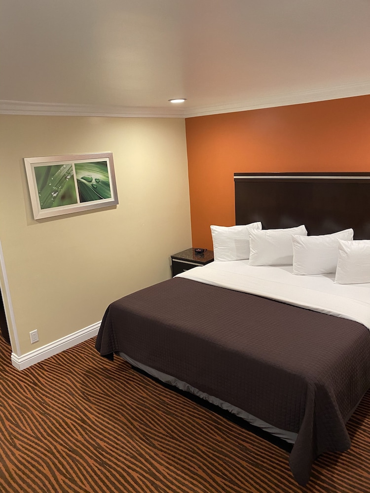 Convention Center Inn and Suites - photo 7