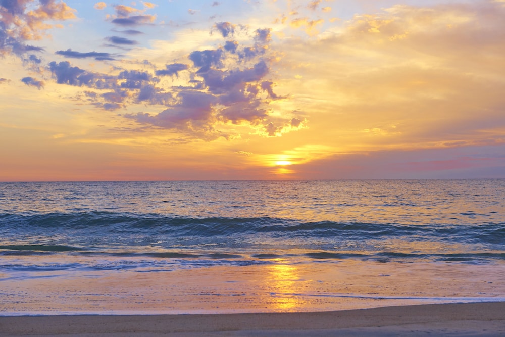 Bethany Beach Ocean Suites Residence Inn by Marriott - photo 63