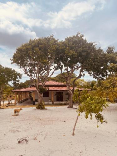 Pindoretama sitio - carbon neutral hotel in Unknown City