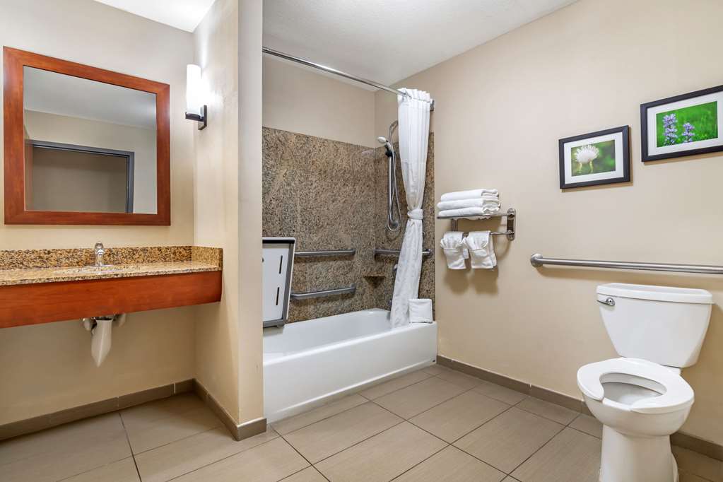 Comfort Suites Manhattan - photo 8