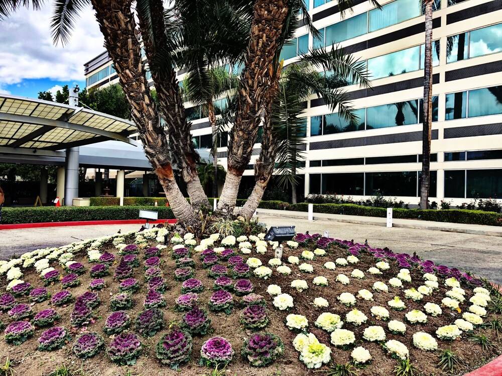 Sheraton Ontario Airport Hotel - photo 23