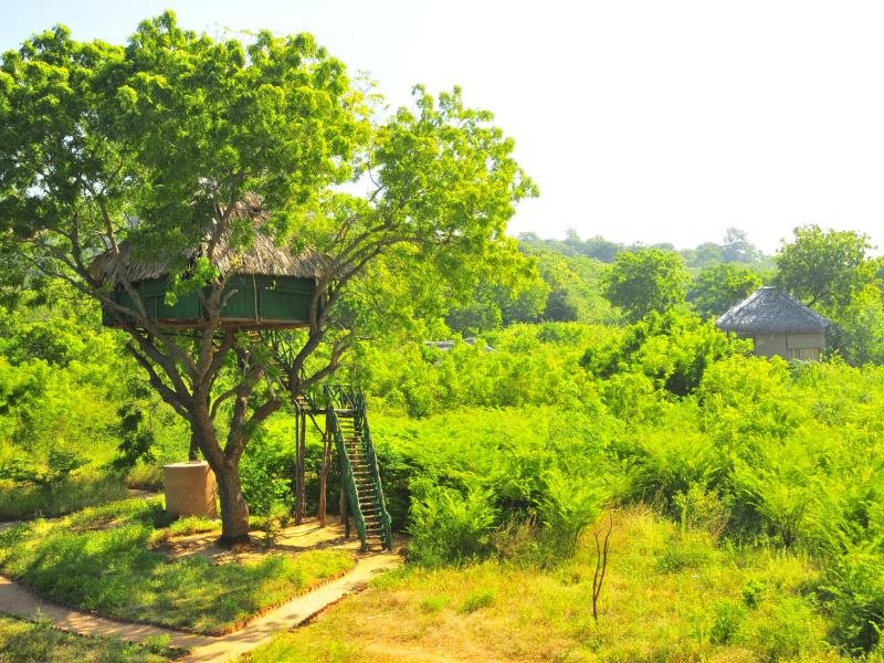 Beddegama Eco in Kataragama, Sri Lanka