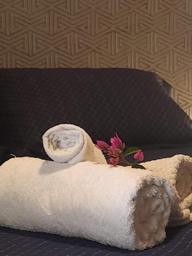 Antonietta Hospedagem e Eventos Conforto em pleno mar de morros de Cunha in Cunha, Brasil