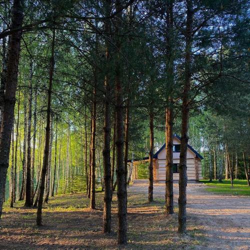Leśne Klimaty - last minute hotel in Unknown City