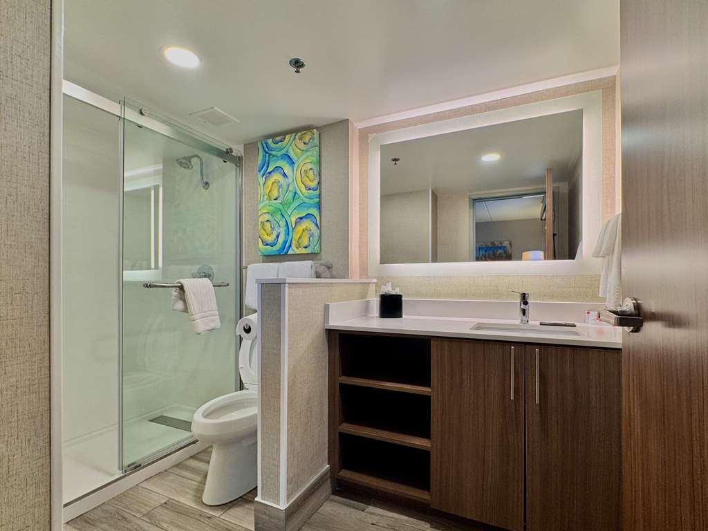 MainStay Suites Oak Brook Terrace Chicago - photo 3