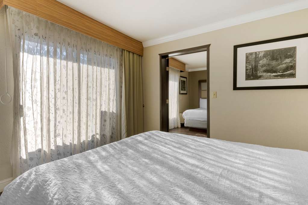 Best Western Plus Forest Park Inn - photo 26
