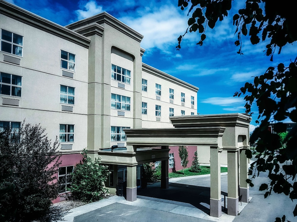 Hampton Inn & Suites by Hilton Edmonton Intl Airport — hotel in Leduc