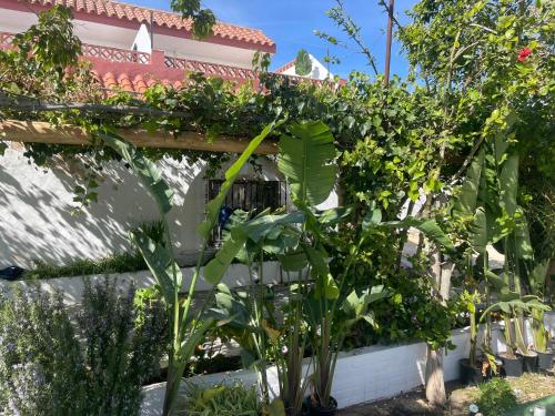 La Posada de Trafalgar — Barbate — photo 2