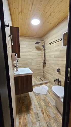 mood villa Kazbegi
