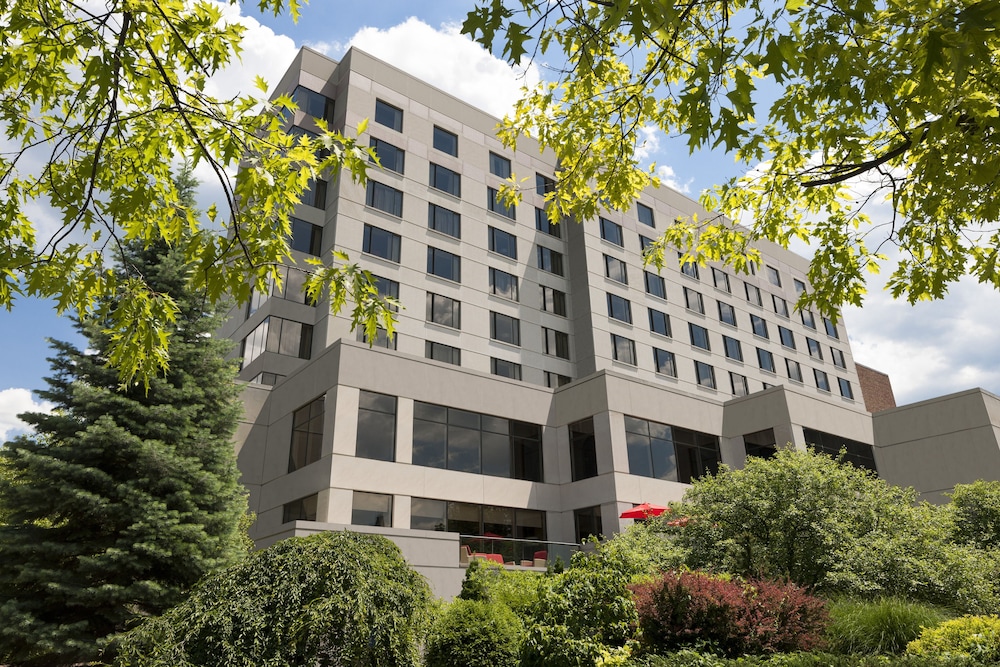 The Statler Hotel at Cornell University - photo 34